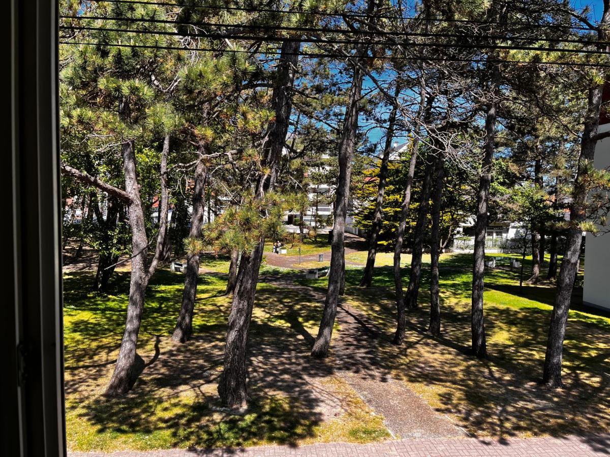Bruyere Blanche Le Touquet Paris Plage Exteriör bild